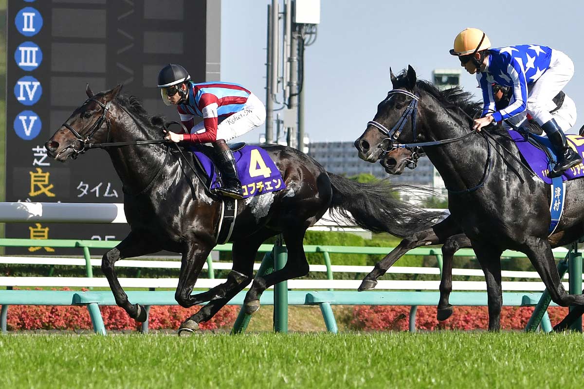 皐月賞・レース回顧】桜花賞と違って2冠目につながる一戦 別路線組で